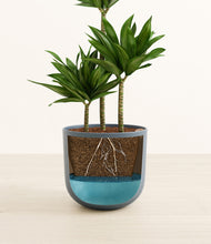 Load image into Gallery viewer, Iron Gray