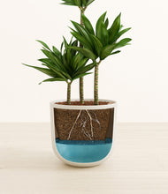 Load image into Gallery viewer, Natural Bamboo