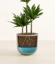 Load image into Gallery viewer, Sage Green