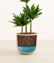 Load image into Gallery viewer, Sandy Pink