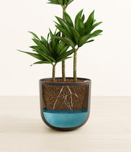 Load image into Gallery viewer, Stone Black