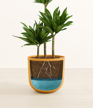 Load image into Gallery viewer, Sunset Orange