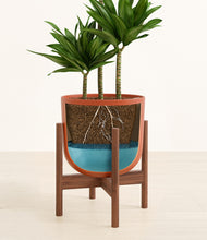 Load image into Gallery viewer, Earth Red stand:walnut
