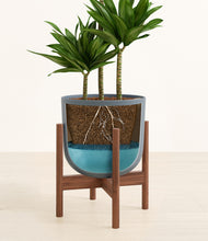 Load image into Gallery viewer, Iron Gray stand:walnut