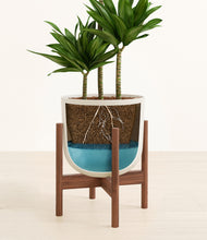Load image into Gallery viewer, Natural Bamboo stand:walnut