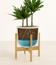 Load image into Gallery viewer, Natural Bamboo stand:bamboo