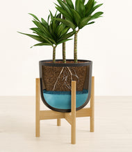 Load image into Gallery viewer, Stone Black stand:bamboo