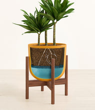 Load image into Gallery viewer, Sunset Orange stand:walnut