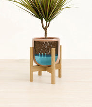 Load image into Gallery viewer, Striped Peach Pink stand:bamboo