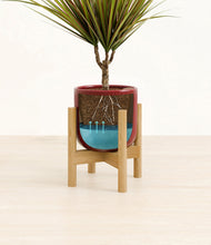 Load image into Gallery viewer, Striped Cherry Red stand:bamboo