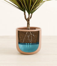 Load image into Gallery viewer, Striped Peach Pink