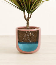 Load image into Gallery viewer, Striped Rose Pink