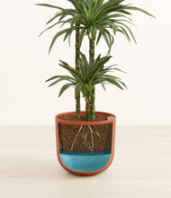 Load image into Gallery viewer, Earth Red