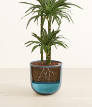 Load image into Gallery viewer, Iron Gray