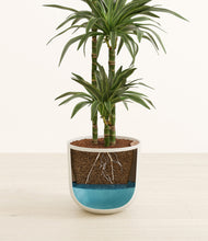 Load image into Gallery viewer, Natural Bamboo