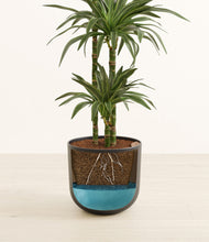 Load image into Gallery viewer, Stone Black