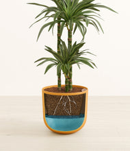 Load image into Gallery viewer, Sunset Orange