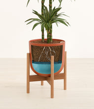 Load image into Gallery viewer, Earth Red stand:bamboo