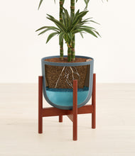 Load image into Gallery viewer, Iron Gray stand:walnut