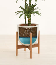 Load image into Gallery viewer, Natural Bamboo stand:bamboo