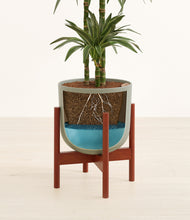 Load image into Gallery viewer, Sage Green stand:walnut