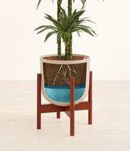 Load image into Gallery viewer, Sandy Pink stand:walnut