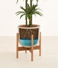 Load image into Gallery viewer, Sandy Pink stand:bamboo