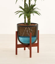 Load image into Gallery viewer, Stone Black stand:walnut