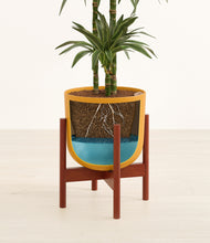 Load image into Gallery viewer, Sunset Orange stand:walnut