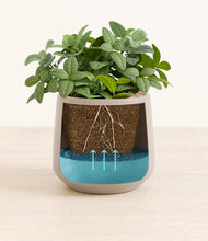 Load image into Gallery viewer, Eternal Gray