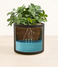 Load image into Gallery viewer, Black