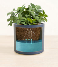 Load image into Gallery viewer, Deep Navy