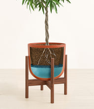 Load image into Gallery viewer, Earth Red stand:walnut