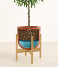 Load image into Gallery viewer, Earth Red stand:bamboo