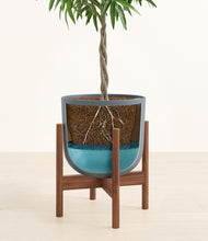 Load image into Gallery viewer, Iron Gray stand:walnut