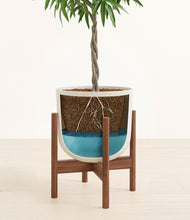 Load image into Gallery viewer, Natural Bamboo stand:walnut