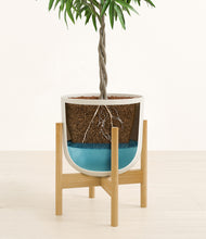 Load image into Gallery viewer, Natural Bamboo stand:bamboo