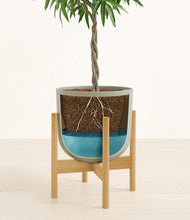 Load image into Gallery viewer, Sage Green stand:bamboo