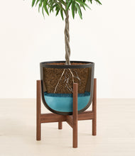 Load image into Gallery viewer, Stone Black stand:walnut