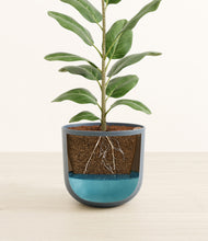 Load image into Gallery viewer, Iron Gray