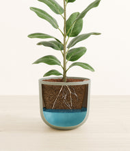 Load image into Gallery viewer, Sage Green