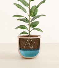 Load image into Gallery viewer, Sandy Pink