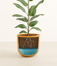 Load image into Gallery viewer, Sunset Orange