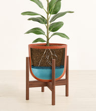 Load image into Gallery viewer, Earth Red stand:walnut