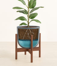 Load image into Gallery viewer, Iron Gray stand:walnut