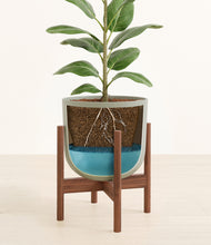 Load image into Gallery viewer, Sage Green stand:walnut