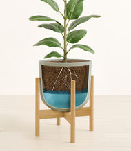 Load image into Gallery viewer, Sage Green stand:bamboo