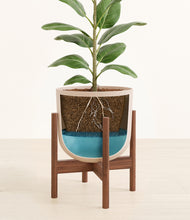 Load image into Gallery viewer, Sandy Pink stand:walnut