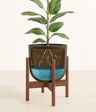 Load image into Gallery viewer, Stone Black stand:walnut