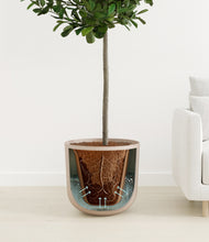 Load image into Gallery viewer, Sandy Pink